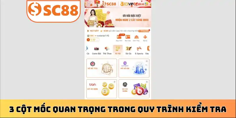 3 cột mốc quan trọng trong quy trình kiểm tra