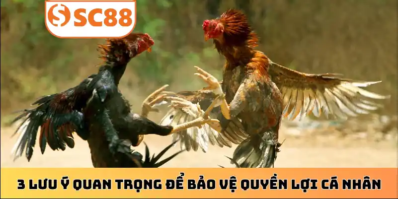 3 lưu ý quan trọng để bảo vệ quyền lợi cá nhân