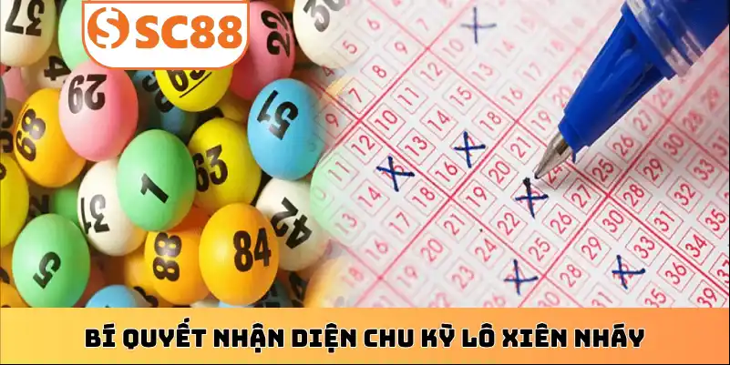 Bí quyết nhận diện chu kỳ lô xiên nháy