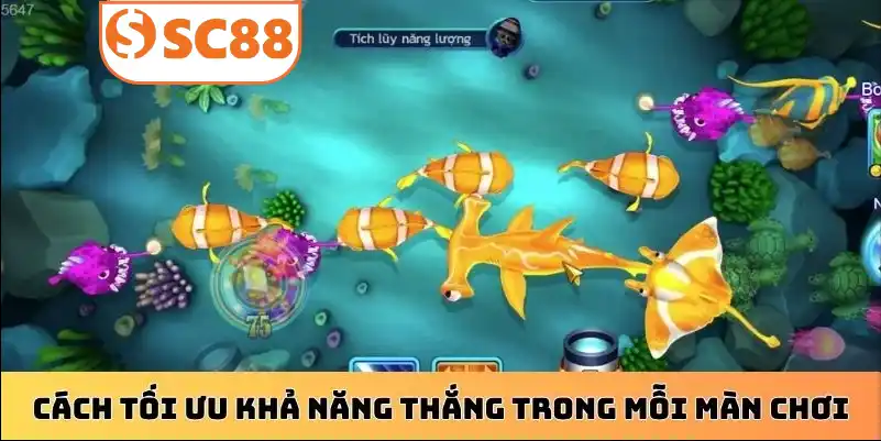 Cách tối ưu khả năng thắng trong mỗi màn chơi