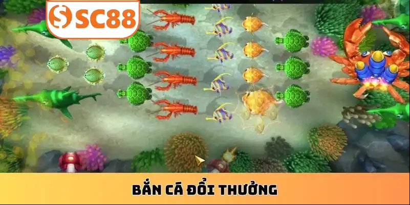 choi-ban-ca-doi-thuong