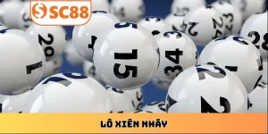 soi-cau-lo-xien-nhay