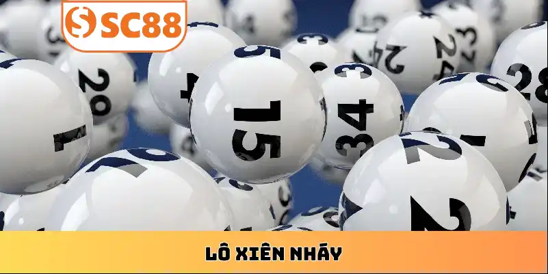 soi-cau-lo-xien-nhay