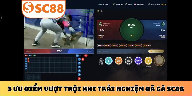3 ưu điểm vượt trội khi trải nghiệm đá gà SC88