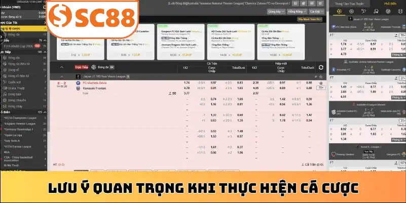 Lưu ý quan trọng khi thực hiện cá cược